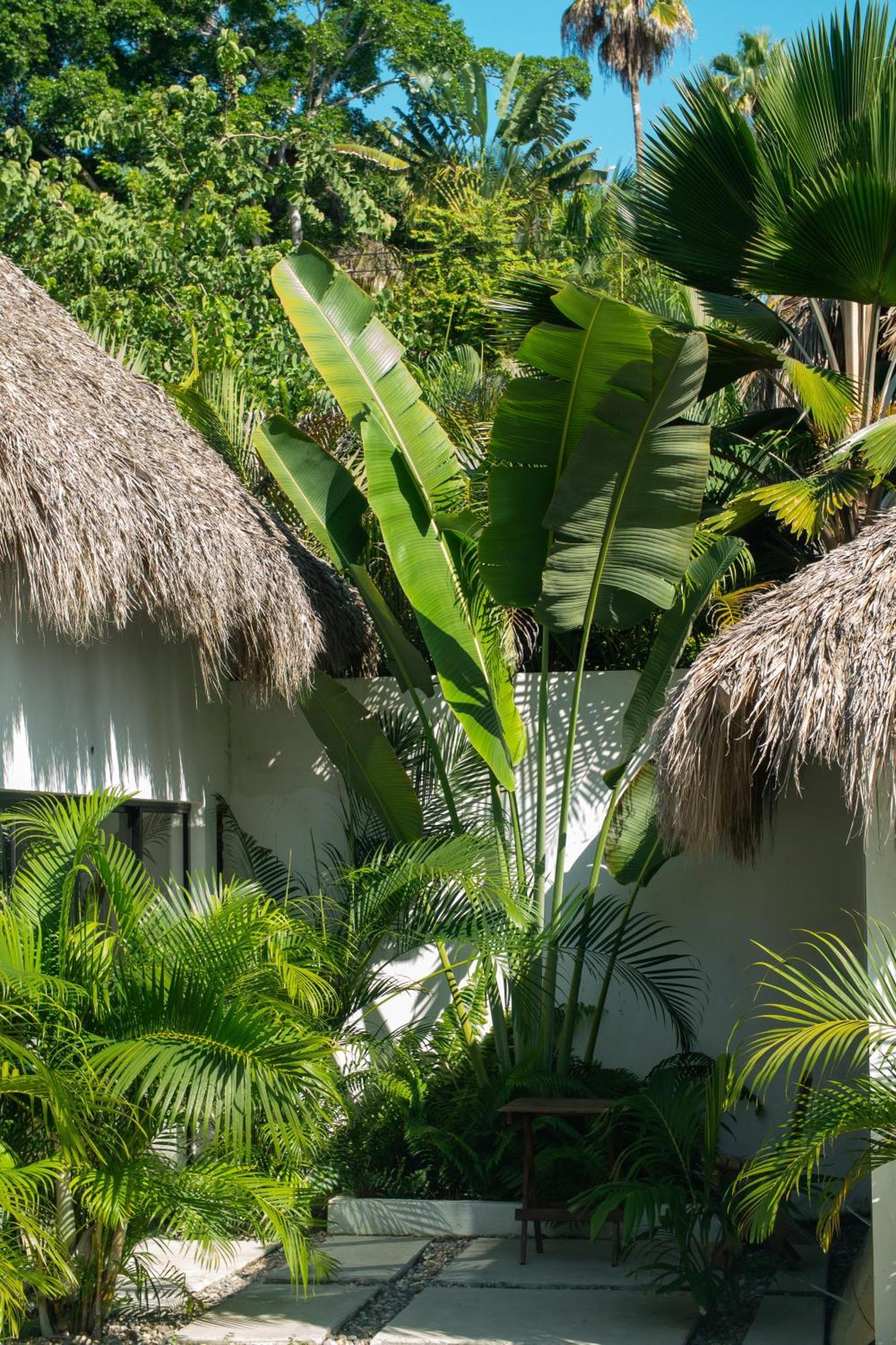 Sayulita Surf Bungalows エクステリア 写真